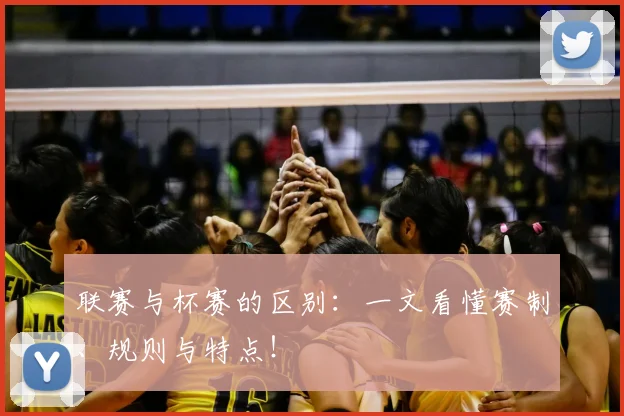 联赛与杯赛的区别：一文看懂赛制、规则与特点！